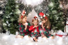 Kate Christmas Pines Tree Farm Path Backdrop for Photography Winter Overlays, Holiday Backdrop, Christmas Pine Tree, Snowflake Photos, Christmas Backgrounds, Christmas Shoot, Seamless Backdrop, Christmas Backdrops, Tree Farm