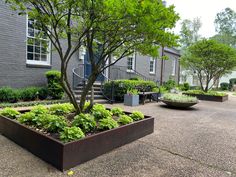 an outdoor garden area with trees and plants in the foreground, stairs leading up to two buildings