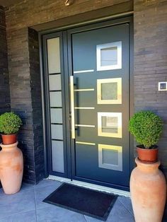 two large vases with plants in front of a door