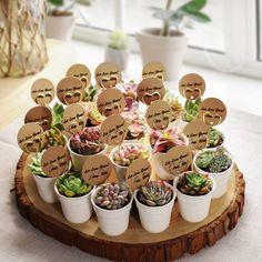 there are many small potted plants on the wooden stand with tags in each one