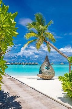 a hammock sitting on top of a sandy beach under a palm tree next to the ocean