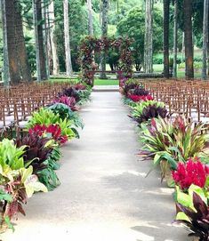 an outdoor ceremony with rows of chairs and flowers on the aisle, surrounded by trees