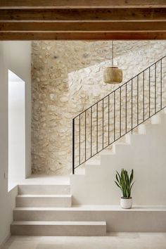 a plant in a pot sitting on some steps next to a stair case and railing