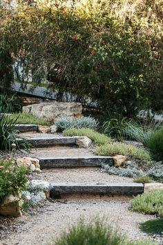 a stone path in the middle of a garden