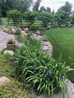 a garden with lots of green plants and rocks in it's center area, surrounded by grass