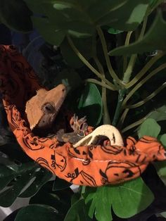 a gecko sitting on top of an orange umbrella next to green plants and leaves