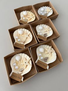 six seashells in boxes with pearls on them