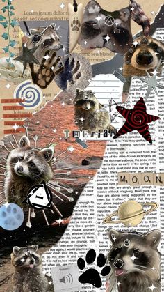 raccoon therian✰꧂#therian#therianthrope #therianthropy #therianwallpaper #raccoon #raccoontherian #raccoonwallpaper#wallpaper#raccoonshuffle #therianshuffle Raccoon Therian, Raccoon Wallpaper, Therian Wallpaper, Therian Masks, Wallpaper Ideas, Iphone Wallpapers, Wallpaper Backgrounds, Cute Wallpapers, Mood Board