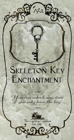 the skeleton key enchantment book cover is shown in black and white, with an ornate border around it