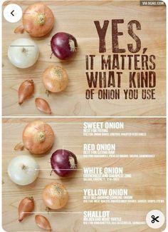 an onion chart with the different types of onions on it and what they are labeled