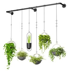 several hanging planters with plants in them