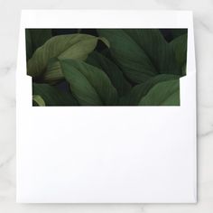 a white envelope with green leaves on it