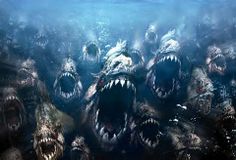 a group of fish with their mouths open and teeth out, swimming in the water