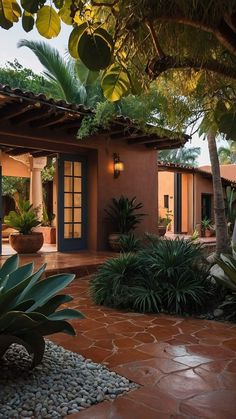 an outdoor patio with potted plants and rocks in the foreground, surrounded by palm trees