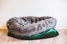 a cat curled up on top of a green pillow in the middle of a room