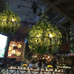 some plants hanging from the ceiling in front of a screen and people sitting at tables