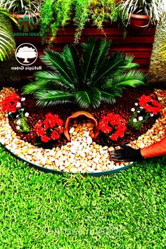 a potted plant sitting in the middle of a garden filled with rocks and flowers