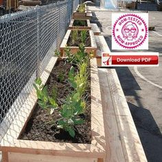 a fenced in garden area with plants growing out of it