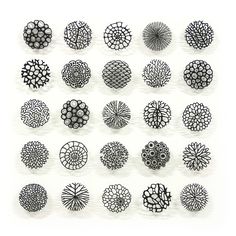 an image of many circular objects in black and white on a white background, including circles