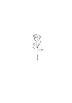 a drawing of a single rose on a white background