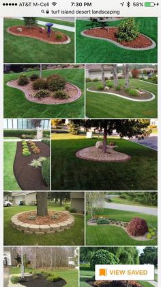 several pictures of different types of landscaping in the same area, including trees and bushes