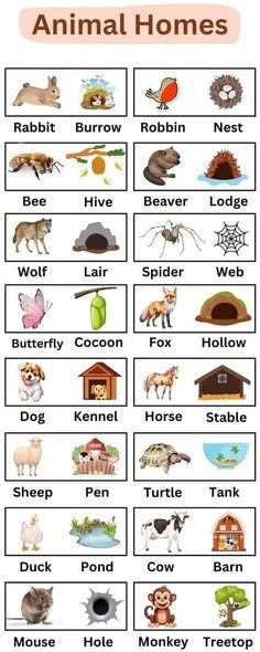 an animal worksheet with animals and their names