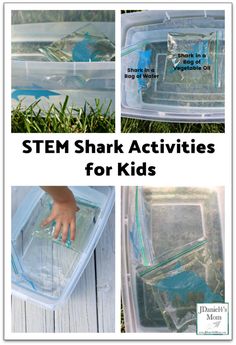 Shark Activities For Kids, Shark Science, Cheap Summer Activities For Kids, Cheap Summer Activities, Shark Activities, Science Park, Ocean Science, Ocean Activities