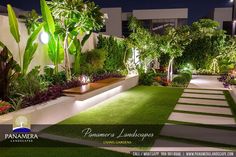 an outdoor garden at night with lights and plants on the side walk leading up to it