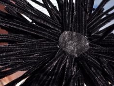 a close up view of some sort of black thing with long, thin strands on it