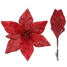 a red poinsettia flower and a pair of scissors on a white background