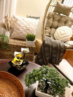 a living room filled with lots of furniture and plants on top of a coffee table