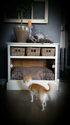 a small dog standing in front of a white shelf with baskets on top of it