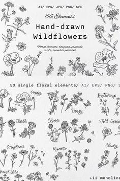 hand drawn wildflowers are shown in black and white, with the words on each side