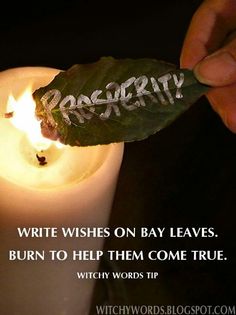 burning bay leaf wish Cer Nocturn, Magia Das Ervas, Magick Spells, Wiccan Spells, White Magic, Bay Leaves, Spells Witchcraft, Harvest Moon, Kitchen Witch