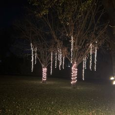 some lights that are hanging from trees in the grass