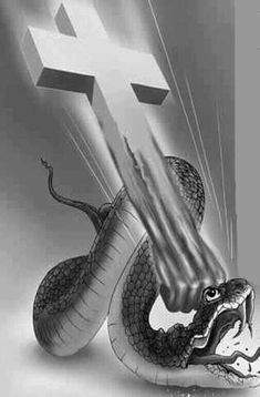 an artistic black and white photo of two snakes