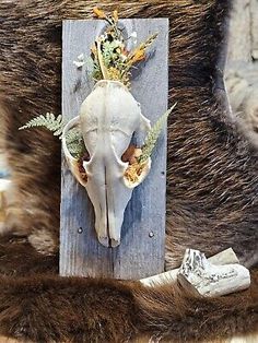 an animal's skull is mounted to the side of a wooden plaque with flowers on it