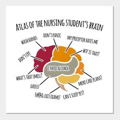 a poster with the words atlas of the nursing student's brain in different languages