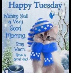 a cat wearing a blue hat and scarf next to a coffee cup with the caption happy tuesday wishing all a very good morning