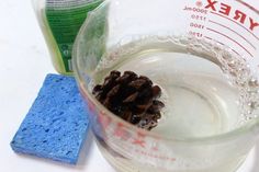 a glass filled with water next to a blue sponge