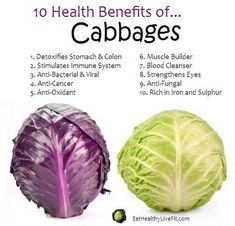 Cabbage Health Benefits, Cabbage Benefits, Purple Cabbage, Benefits Of Coconut Oil, Super Food, Cabbages