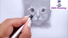 someone is drawing a cat with colored pencils