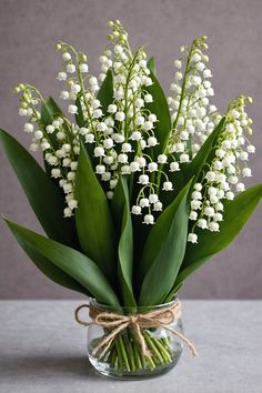 lily of the valley in a glass vase with twine and burlock tied around it