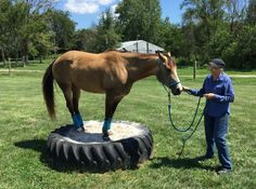 a woman standing next to a brown horse on top of a lush green field with a tire