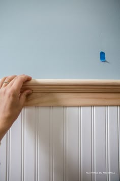 a person is holding a piece of wood over the top of a wall with a blue bird on it