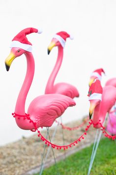 three pink flamingos wearing santa hats and standing in the grass with string decorations on them