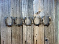 four old horseshoes hanging on a wooden wall