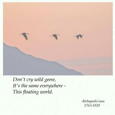 three birds flying in the sky with a quote below