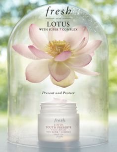 Lotus Youth Preserve Face Cream Spa Ceylon, Idea Product, Fresh Products, Cosmetic Package, Creative Videos, Skin Care Packaging, Beauty Shots, Cosmetic Packaging