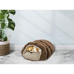 a small dog laying on top of a bed next to a potted plant